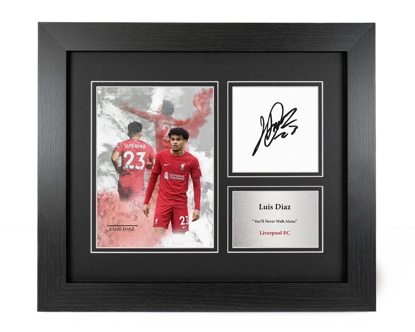 Luis Díaz Footballer Reproduction