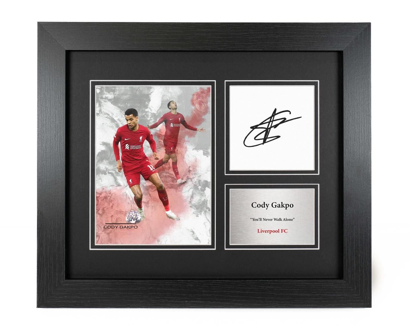 Cody Gakpo – Footballer Reproduction
